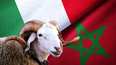 بعد إلغاء شعيرة النحر.. مغاربة إيطاليا يعلنون عن مبادرة تضامنية لافتة مع وطنهم الأم
